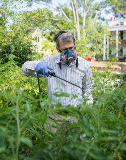 Roundup cancer Monsanto glyphosate