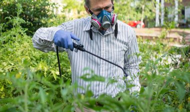 Roundup cancer Monsanto glyphosate
