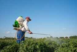 Roundup cancer Monsanto wrongful death lawsuit
