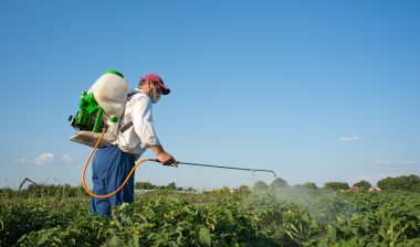 Roundup cancer Monsanto wrongful death lawsuit