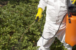 Monsanto Roundup cancer lymphoma herbicide spray