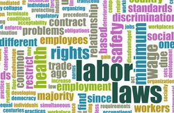 labor laws in the workplace