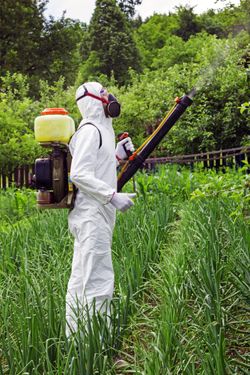 Roundup-causes-lymphoma
