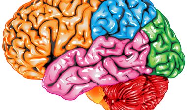 phenytoin-cerebellar-atrophy