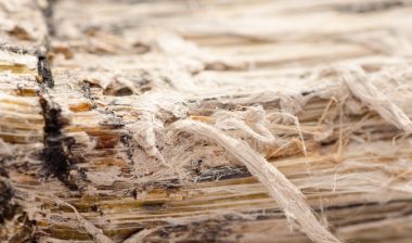 asbestos close up mesothelioma lung cancer