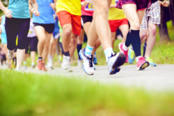 Arthrex knee replacement recall