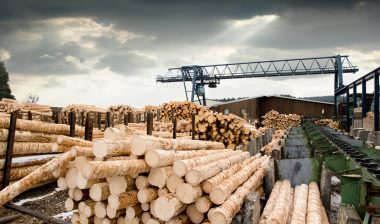 Sawmill (lumber mill), asbestos
