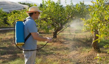 lymphoma-from-roundup