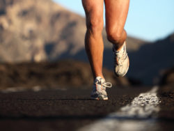 Zimmer Persona knee implant recall tibial plate