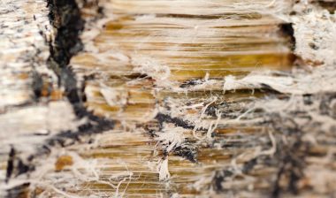 asbestos chrysotile fibers that cause lung disease, COPD, lung cancer, mesothelioma