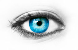 Blue eye isolated on white
