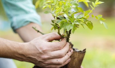 Monsanto Roundup cancer lymphoma hands planting