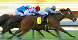 Abilify gamblnig addiction horse race