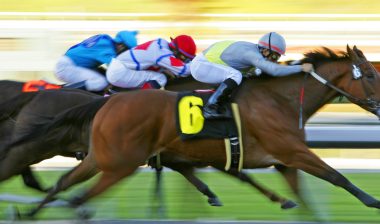 Abilify gamblnig addiction horse race