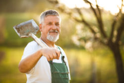 Monsanto Roundup gardener non-Hodgkin's lymphoma