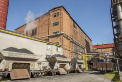 asbestos mesothelioma lung cancer sugar refinery