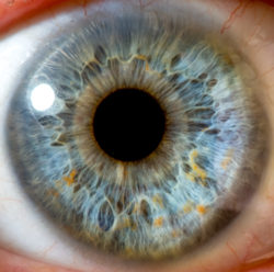 eye close up