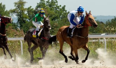 Abilify gambling addiction horseracing