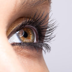 Closeup shot of woman eye with day makeup