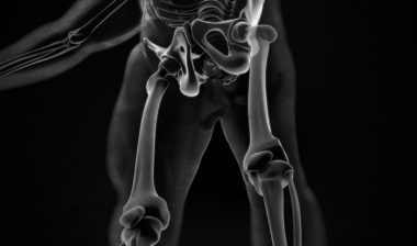 human diagram, hip focus
