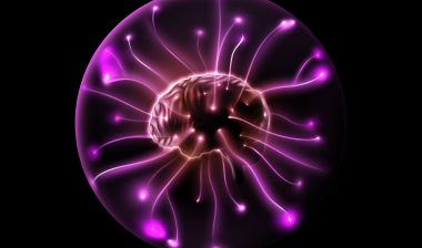 brain, cerebellar atrophy