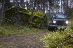 jeep wrangler in forest