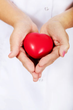 Elderly female doctor or nurse holding red toy heart.