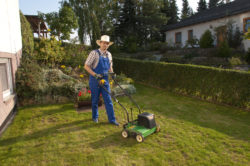 Man working in yard