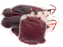 bag of blood on a white background