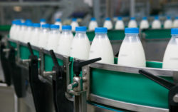 Dairy Plant.