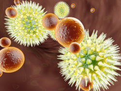 virus, bacteria cells
