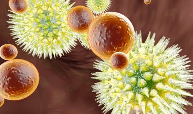 virus, bacteria cells