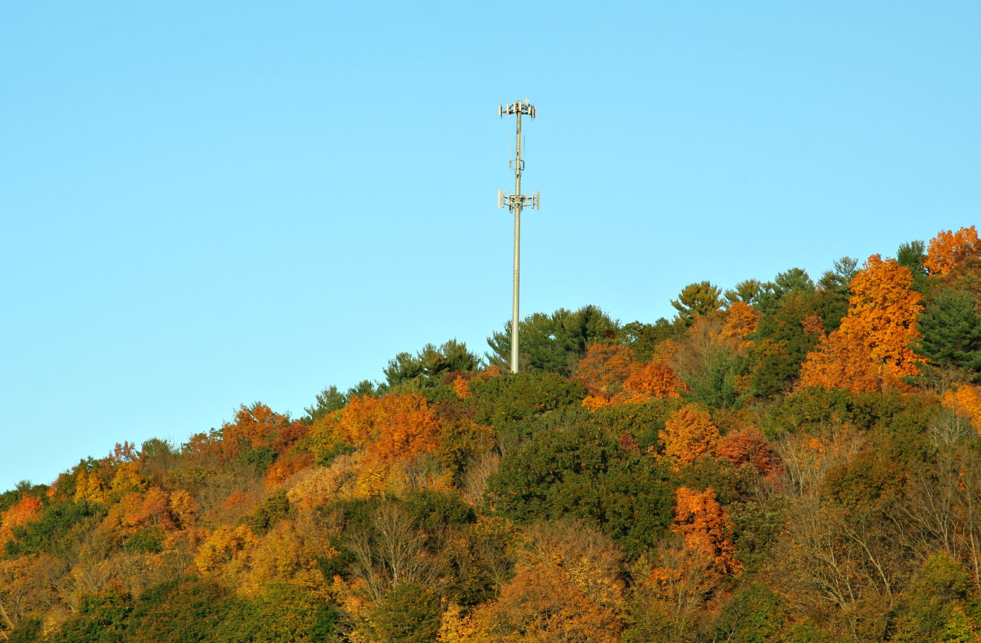 Cell Phone Tower in Fall