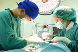 Depositphotos_115576492_s-2015