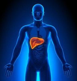 Zinbryta liver failure