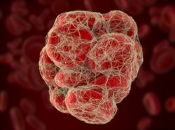 Blood clot, coagulation. 3D illustration.