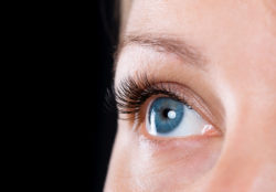 Close-up face of beautiful young woman with beautiful blue eye and big pretty eyelashes and eyebrows on black background. Macro of human eye - open expressive look.