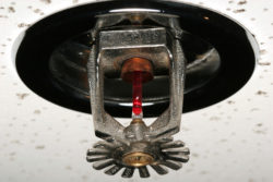 Fire sprinkler head mounted in drop ceiling tile