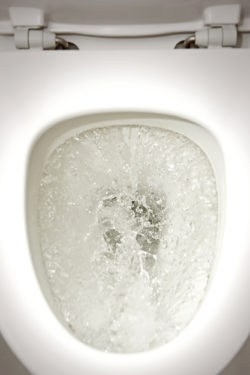 Charmin flushable wipes flushing toilet