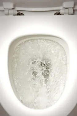 Charmin flushable wipes flushing toilet
