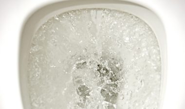 Charmin flushable wipes flushing toilet