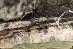 asbestos chrysotile fibers that cause lung disease, COPD, lung cancer, mesothelioma