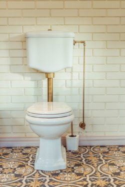Class Action Lawsuit Investigation Initiated Over Charmin Freshmates Flushable Wipes