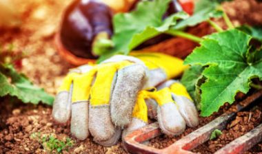 Man Files Monsanto Roundup Lawsuit Over Non-Hodgkin Lymphoma Diagnosis
