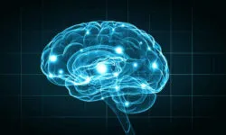Zinbryta Market Withdrawal Initiated Following Worldwide Reports of Encephalitis