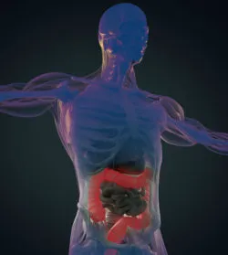 side effects of Viberzi IBS drug may include pancreatitis