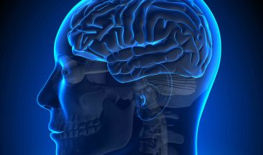 Zinbryta Patients warned against Brain Inflammation