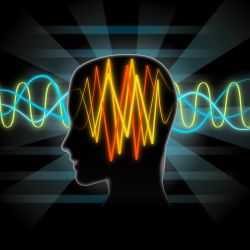 Adverse effects of Dilantin include cerebellar atrophy