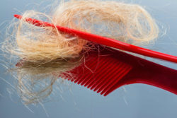 Taxotere, breast cancer drug, can cause permanent alopecia