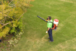 the link between glyphosate and cancer is just becoming known to gardeners